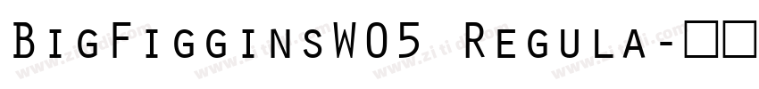 BigFigginsW05 Regula字体转换